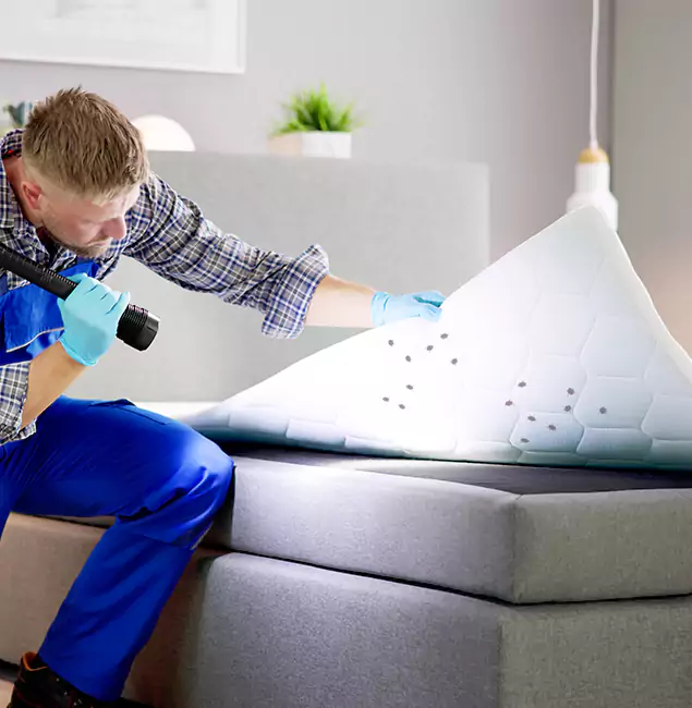 Why Choose Union Pest Control Pro in Union, NJ?