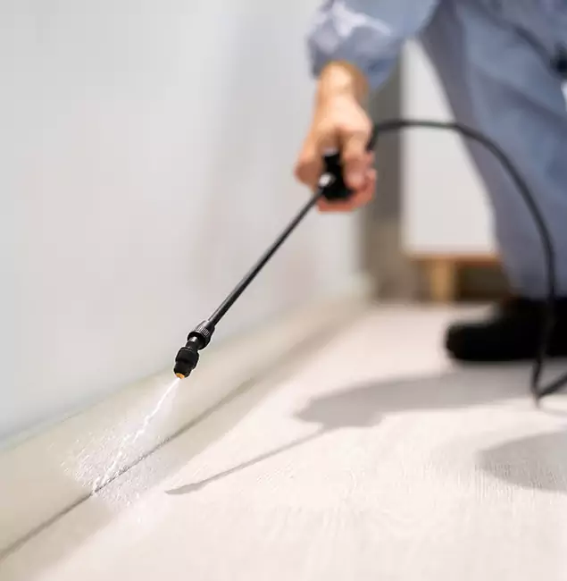 Why Choose Union Pest Control Pro for Termite Treatment in Union, NJ?