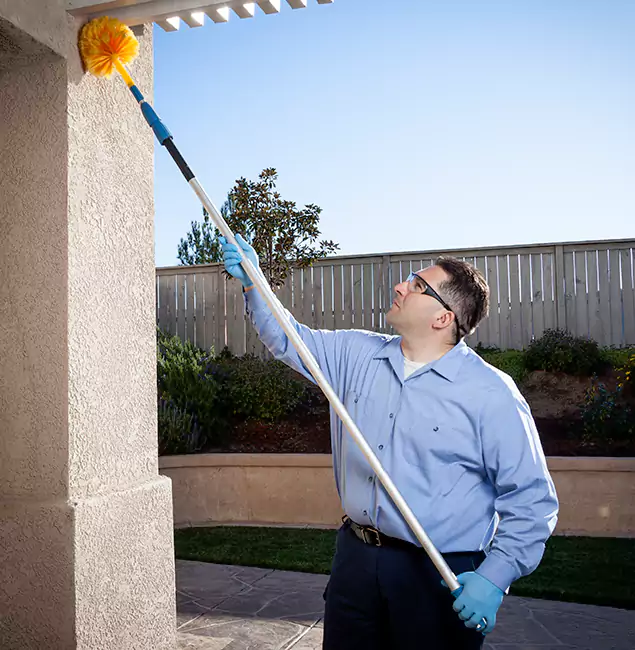 Why Choose Union Pest Control Pro for Foundation Termite Treatment in Union, NJ?