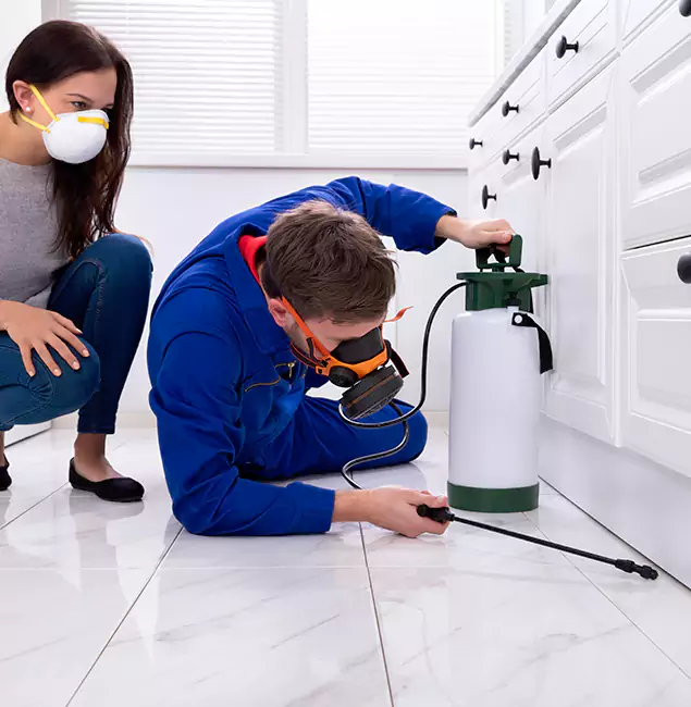 Why Union, NJ Homeowners Trust Union Pest Control Pro for Roach Control?