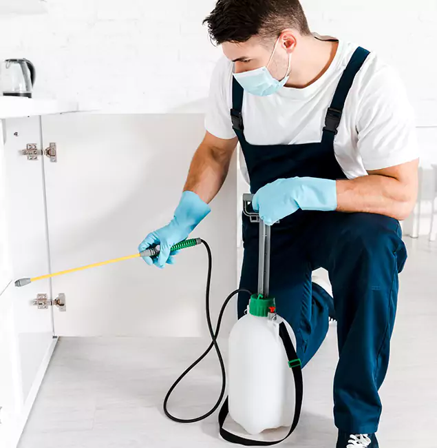 Why Choose Union Pest Control Pro for Indoor Pest Control in Union, NJ?