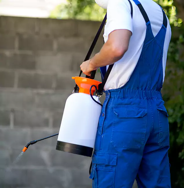 Why Union Homeowners Rely on Union Pest Control Pro for Mosquito Control?