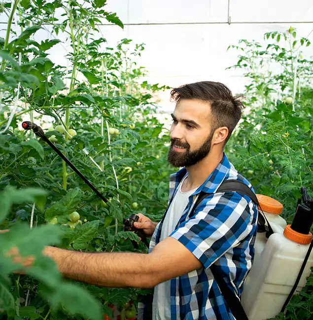 Why Union Homeowners Choose Union Pest Control Pro for Mosquito Spraying?