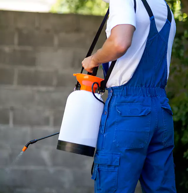 Why Union Pest Control Pro Delivers the Best Mosquito Control in Union, NJ?