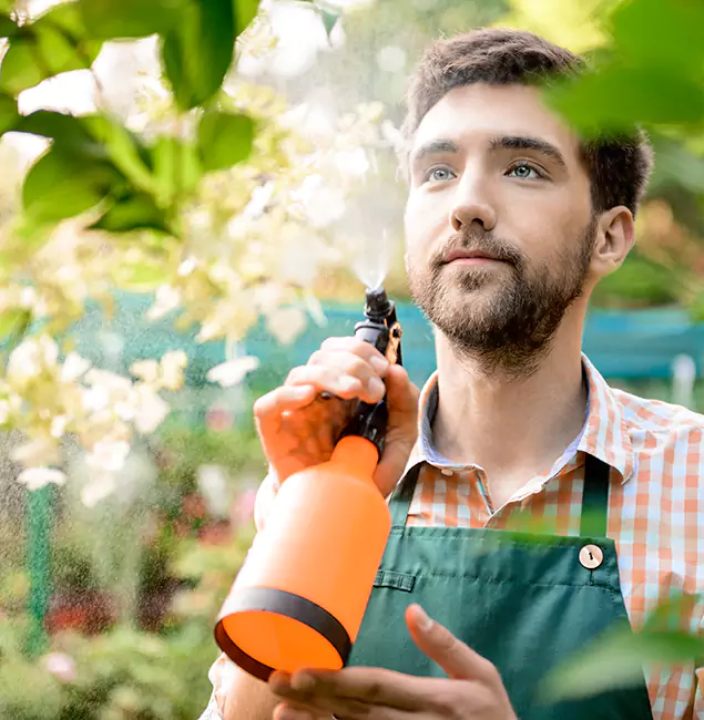 Why Union Homeowners Call Union Pest Control Pro for Mosquitoes in House?