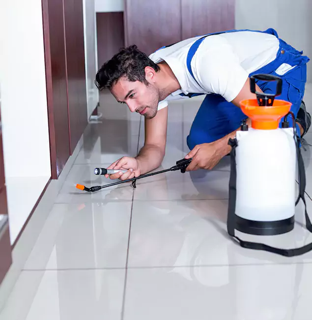 Why Union Pest Control Pro Is the Proven Choice in Union, NJ?
