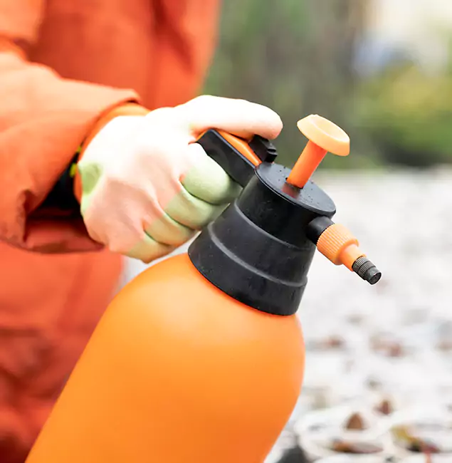 Why Choose Union Pest Control Pro for Orange Termite Treatment in Union, NJ?