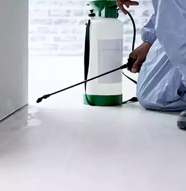 Why Choose Union Pest Control Pro for Rat Exterminator in Union, NJ?
