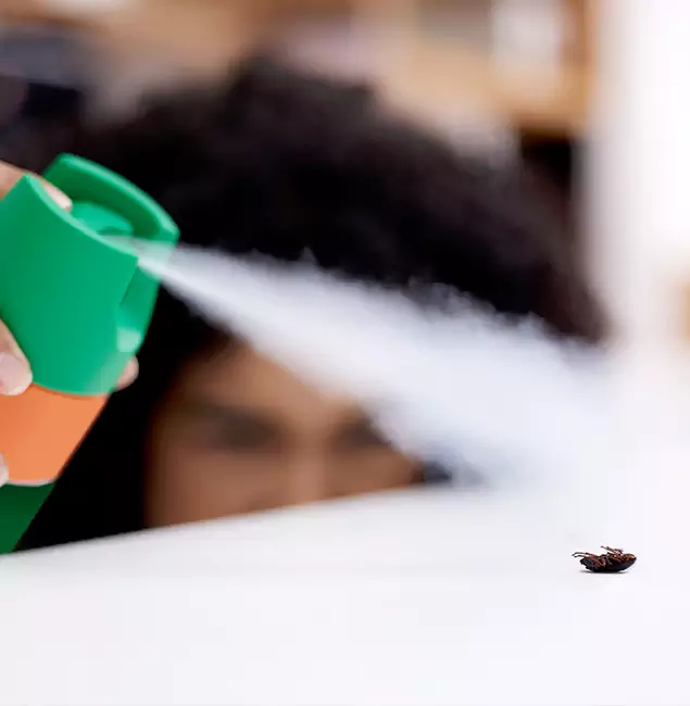 Why Union, NJ Homeowners Choose Union Pest Control Pro for Roach Pest Control?