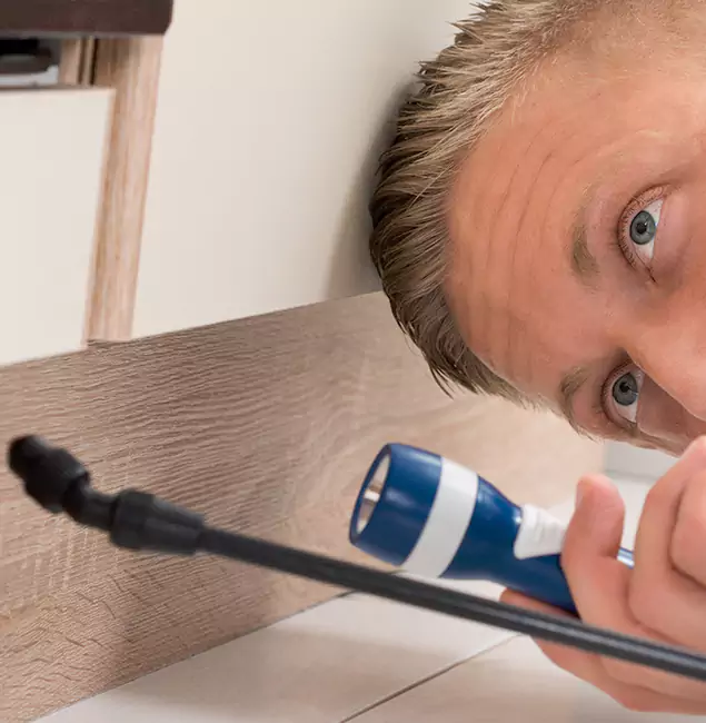 Why Choose Union Pest Control Pro for Rodent Exterminator in Union, NJ?