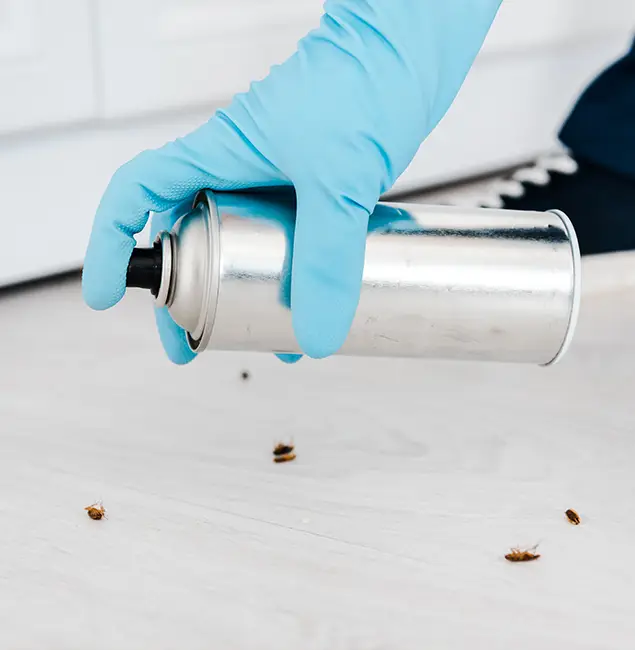 Why Choose Union Pest Control Pro for Safe Bed Bug Treatment in Union, NJ?