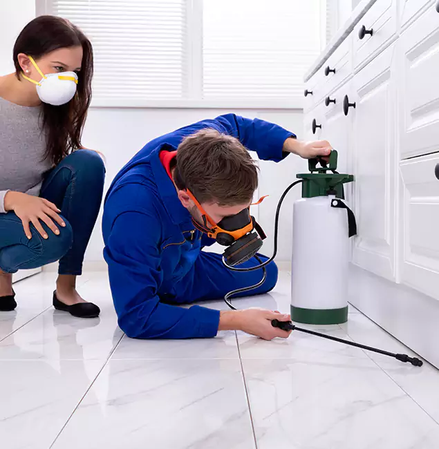 Why Choose Union Pest Control Pro for Termite Inspection Cost in Union, NJ?