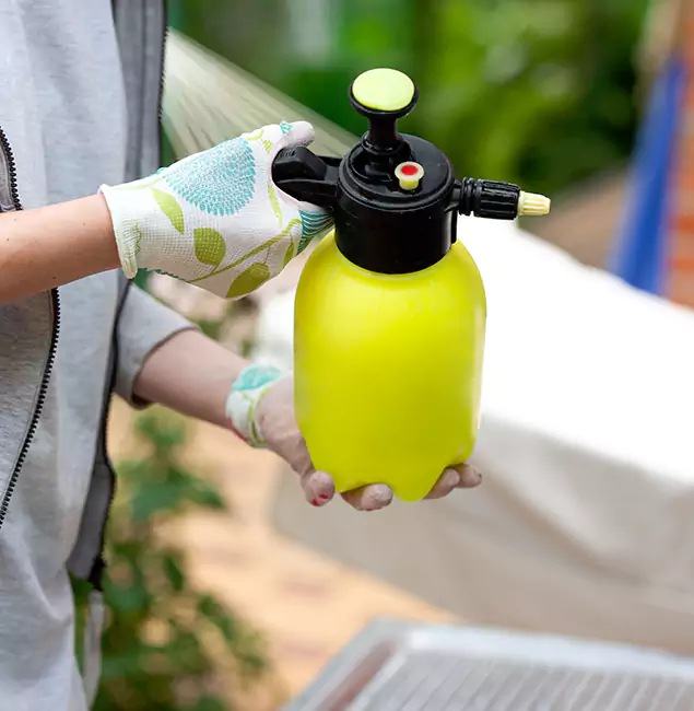Why Choose Us: Union Pest Control Pro Termite Spraying Experts in Union, NJ?