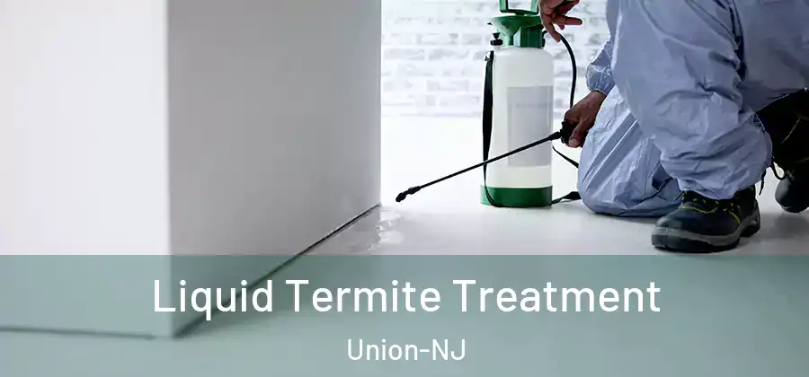 Liquid Termite Treatment Union-NJ