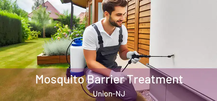 Mosquito Barrier Treatment Union-NJ