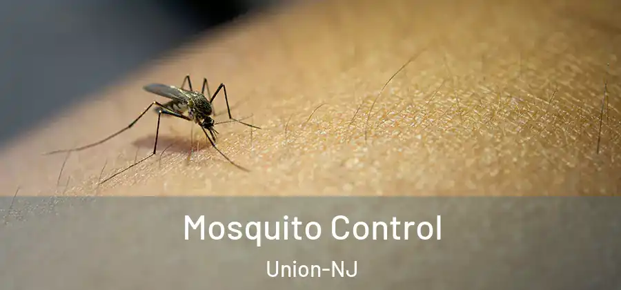 Mosquito Control Union-NJ