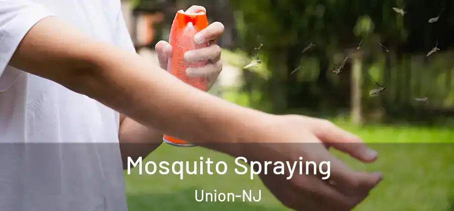 Mosquito Spraying Union-NJ