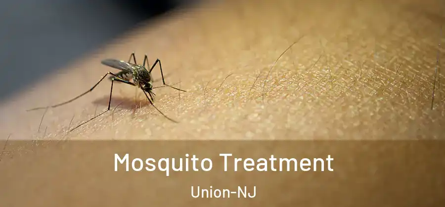 Mosquito Treatment Union-NJ