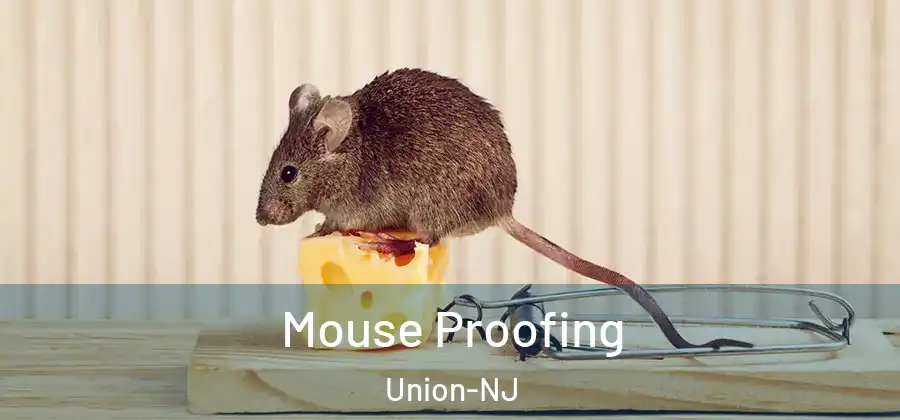 Mouse Proofing Union-NJ