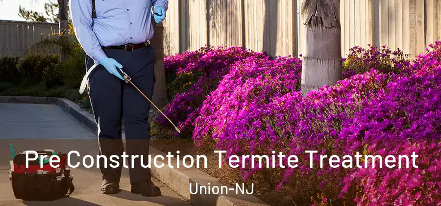 Pre Construction Termite Treatment Union-NJ