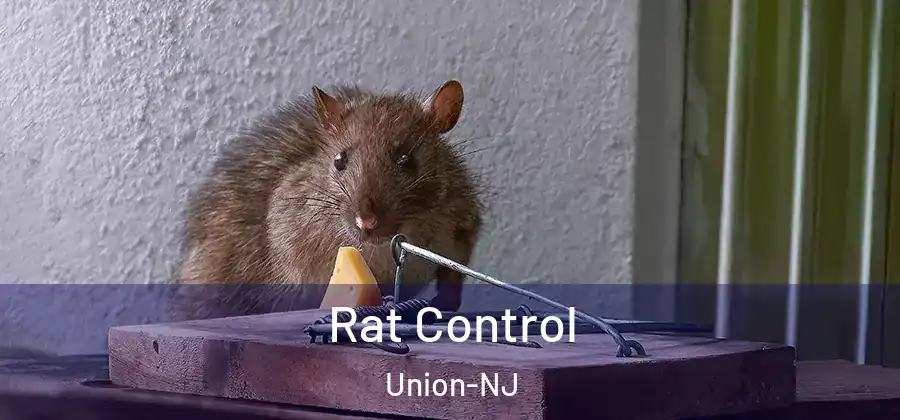 Rat Control Union-NJ