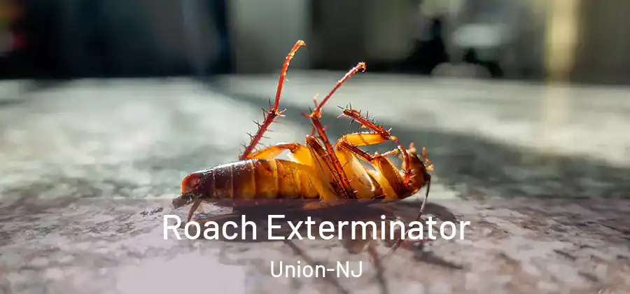 Roach Exterminator Union-NJ