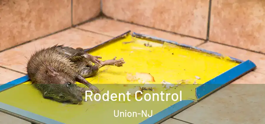 Rodent Control Union-NJ