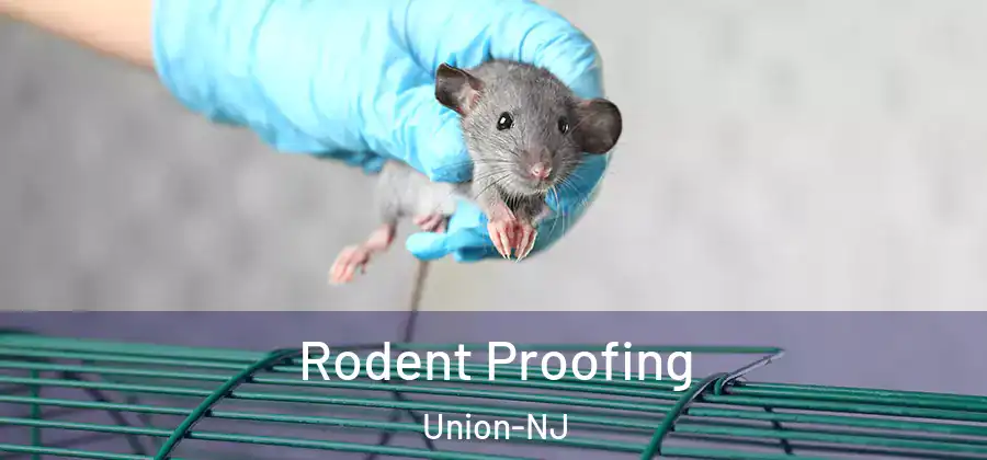 Rodent Proofing Union-NJ