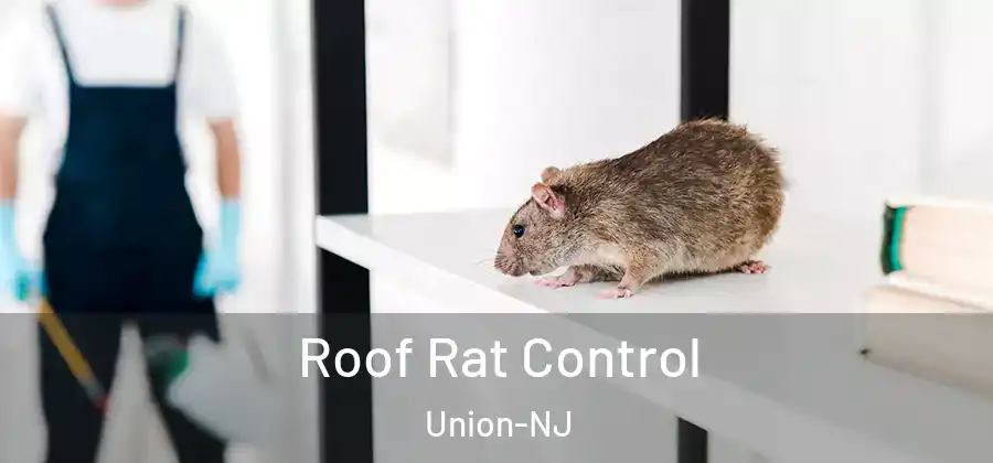 Roof Rat Control Union-NJ