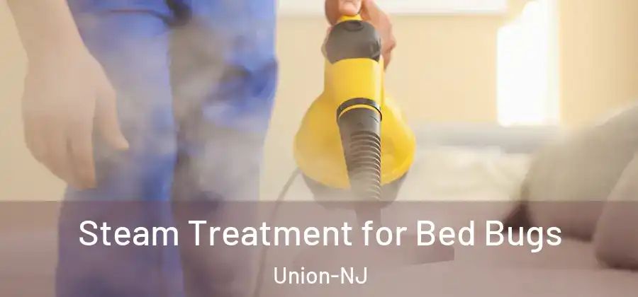 Steam Treatment for Bed Bugs Union-NJ