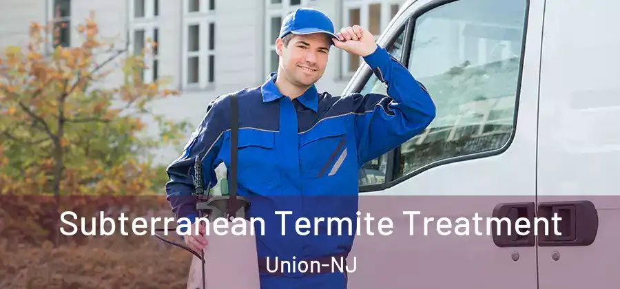 Subterranean Termite Treatment Union-NJ