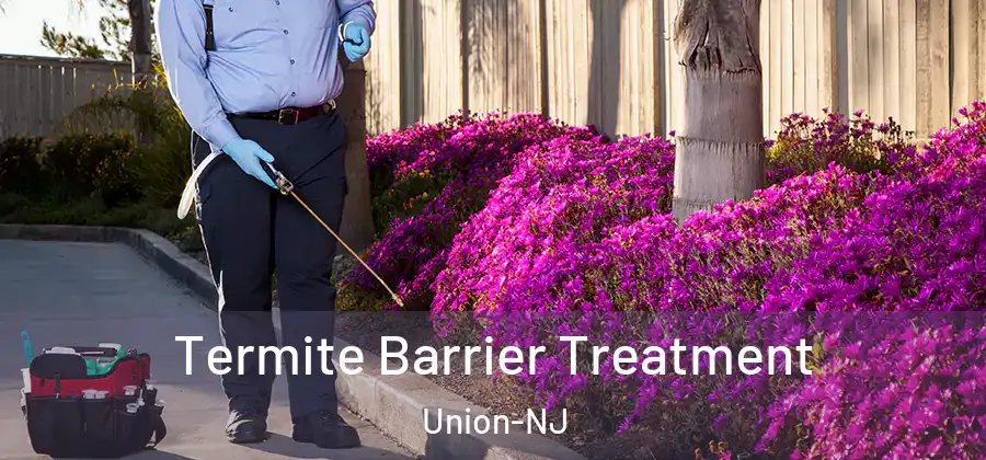 Termite Barrier Treatment Union-NJ