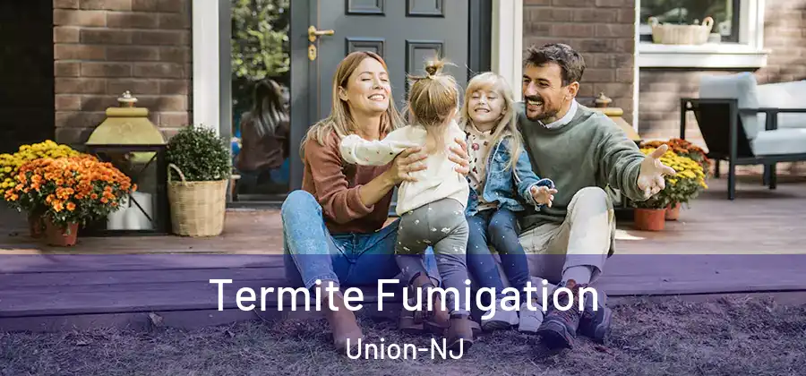 Termite Fumigation Union-NJ