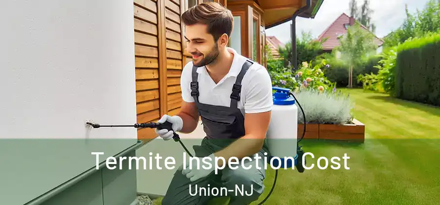 Termite Inspection Cost Union-NJ