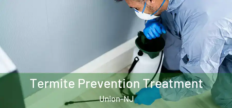 Termite Prevention Treatment Union-NJ