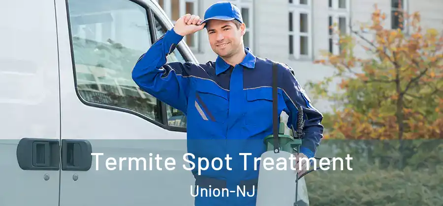 Termite Spot Treatment Union-NJ