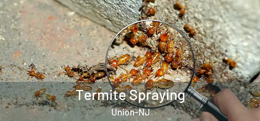 Termite Spraying Union-NJ