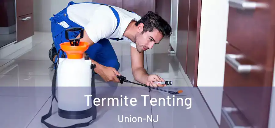 Termite Tenting Union-NJ
