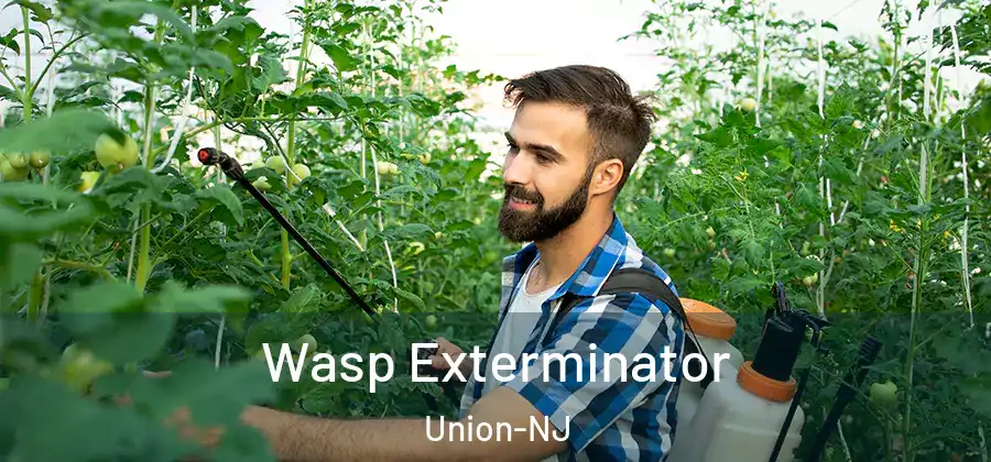 Wasp Exterminator Union-NJ