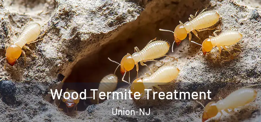Wood Termite Treatment Union-NJ